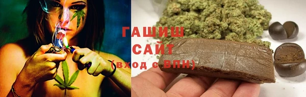 2c-b Ельня