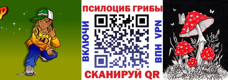 Купить закладки  Алдан  Галлюциногенные грибы Cubensis 
